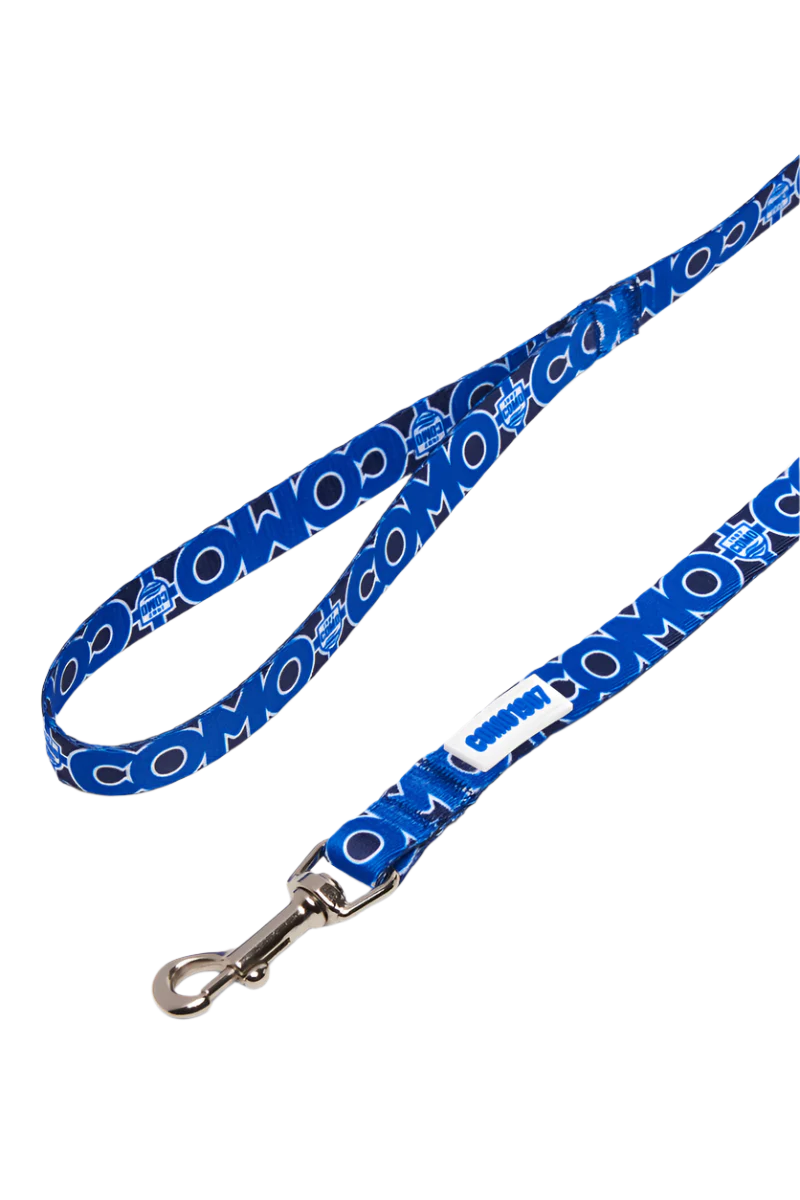 Guinzaglio Regular Blu Como 1907 - Image 3